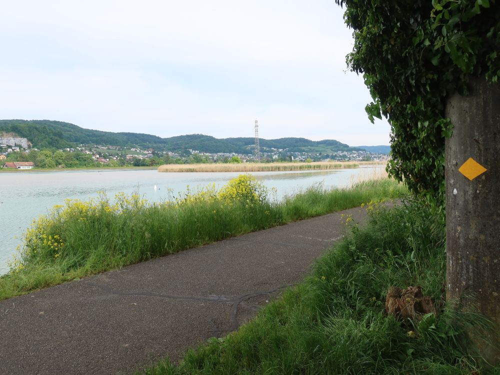 Uferweg am Klingnauer Stausee