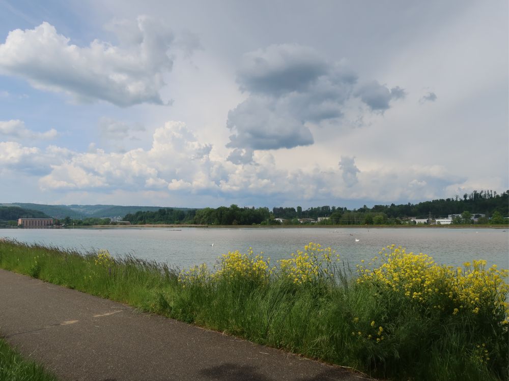 Uferweg am Klingnauer Stausee