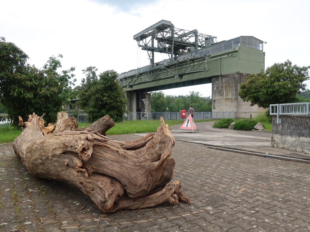 Treibgut beim Wasserkraftwerk