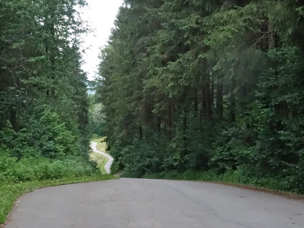 Strässchen Achdorf - Fützen