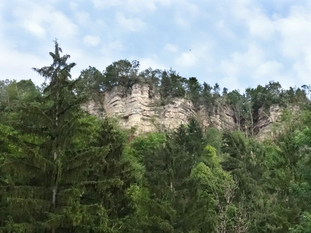 Wutachflühe