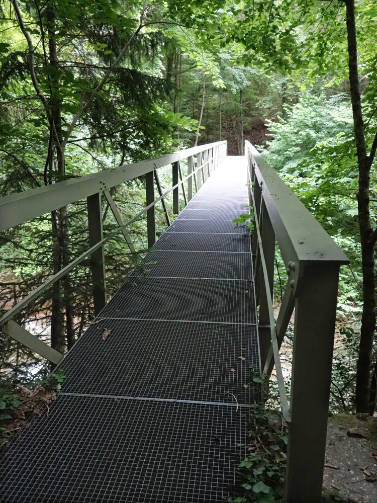 Fussgängersteg über die Wutach