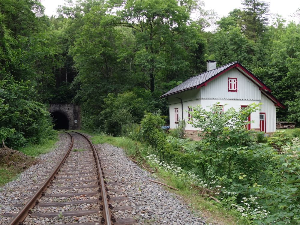 Tunneleingang bei Eisenbahnbrcke