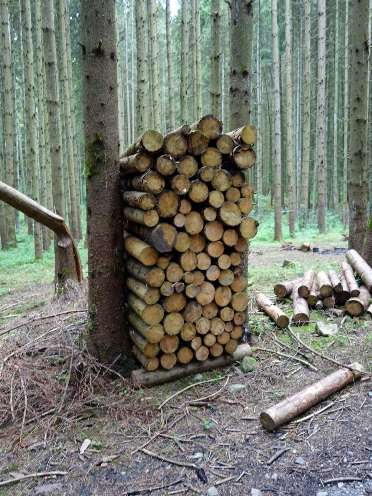 Holzstapel