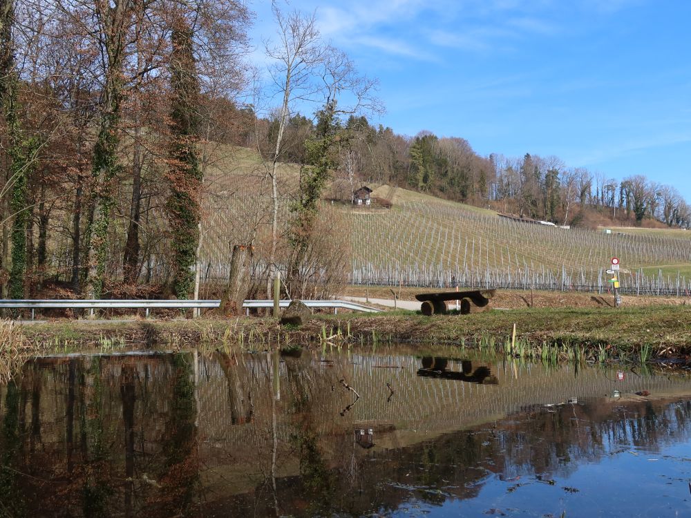 Teich am Weinberg