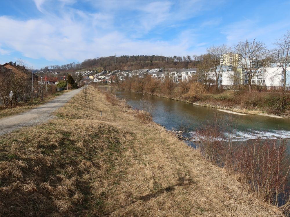 Weg an der Töss