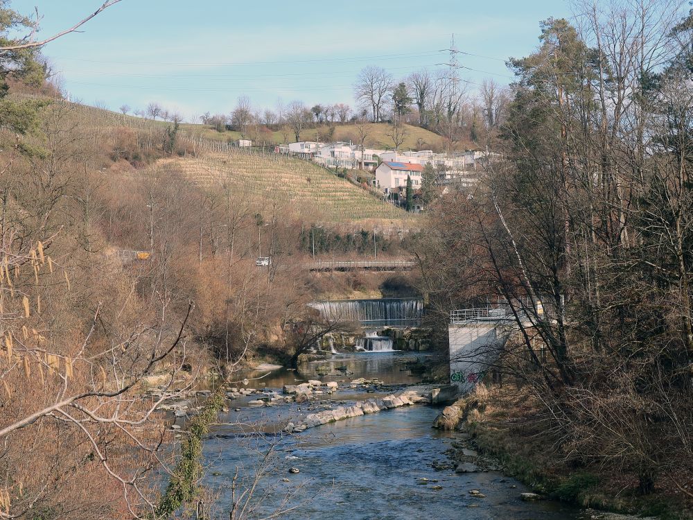 Affenschlucht