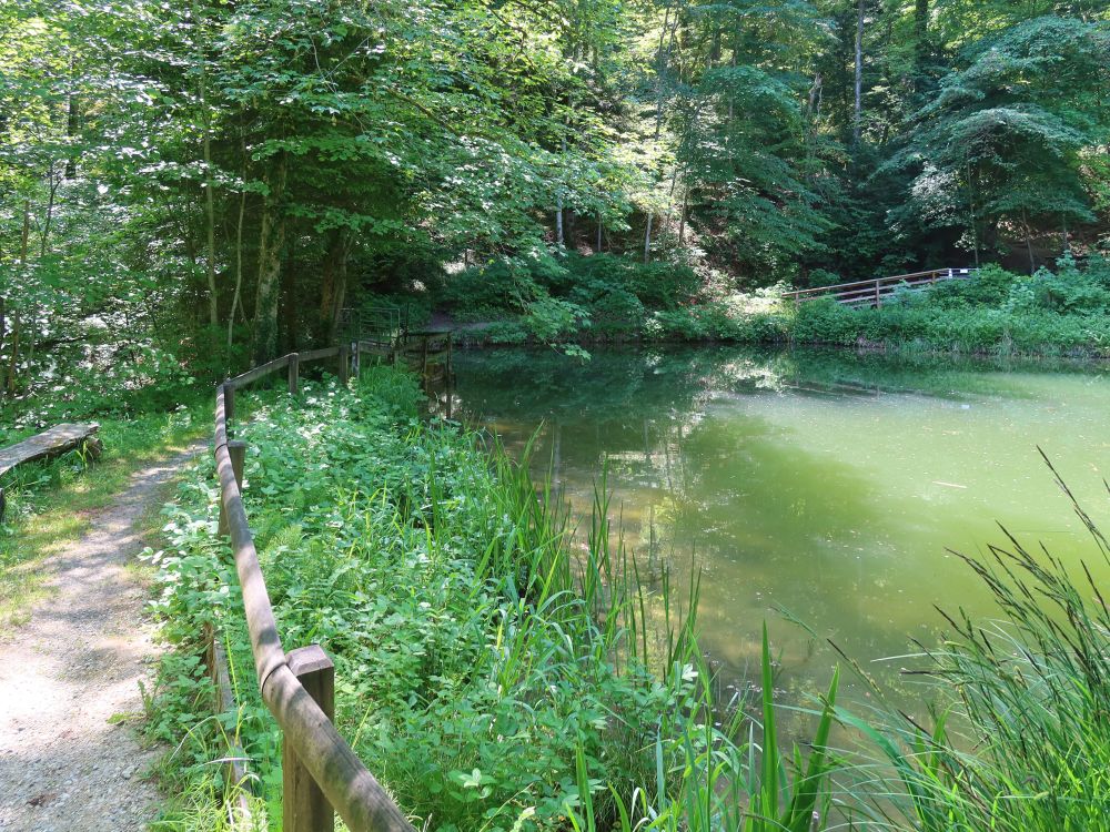 Mühliweiher