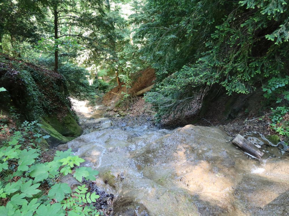 Wasserfall von oben