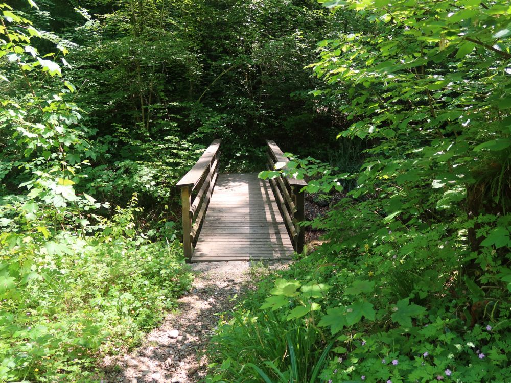 Holzsteg im Mülitobel