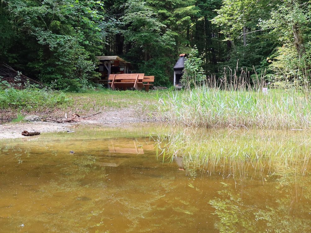 Teich bei Bietenhard