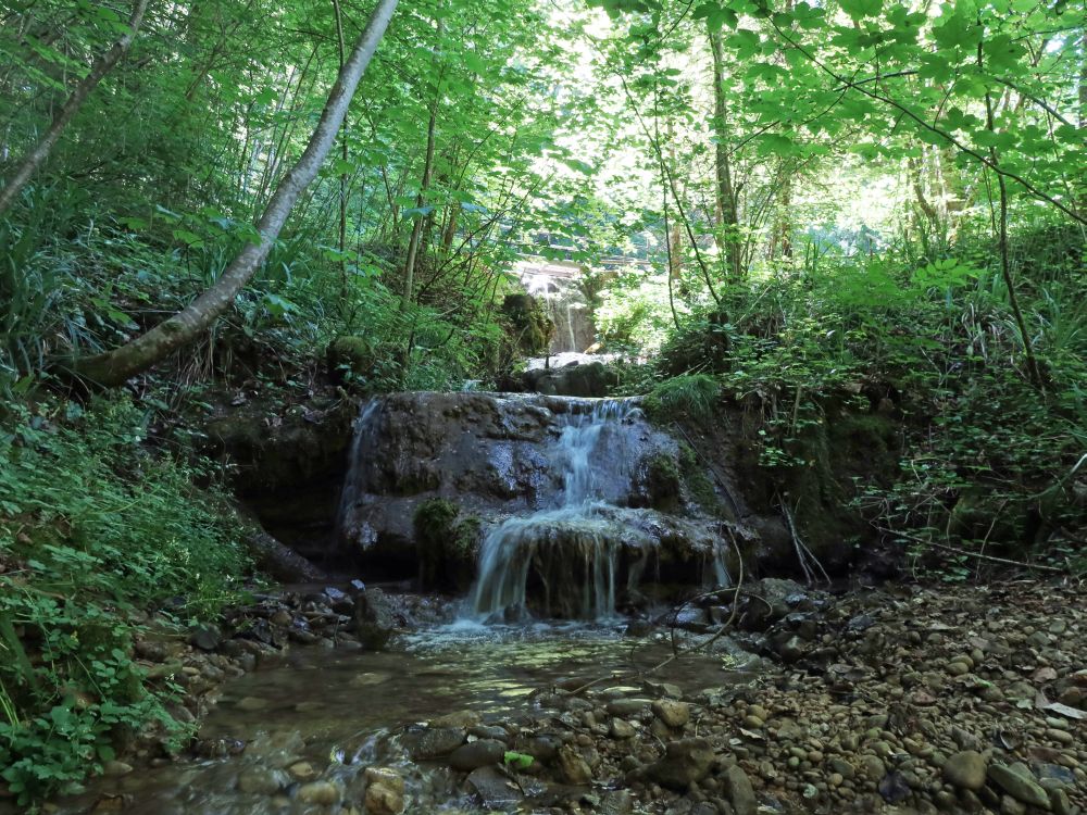 Wasserfall am Mühliweiher