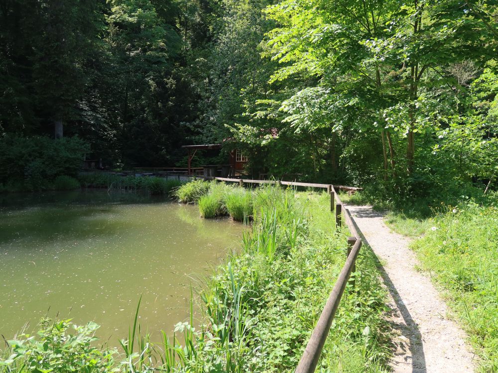 Mühliweiher