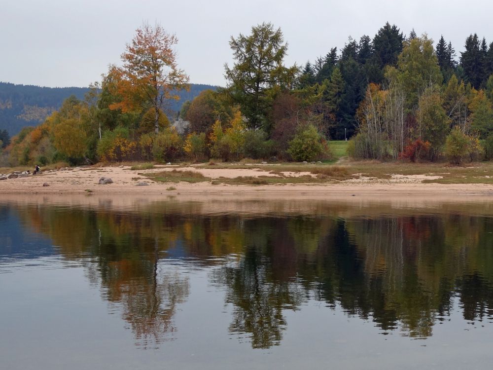 Speieglungen im Schluchsee