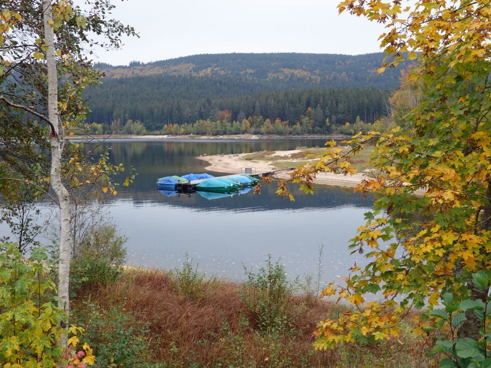 Schluchsee