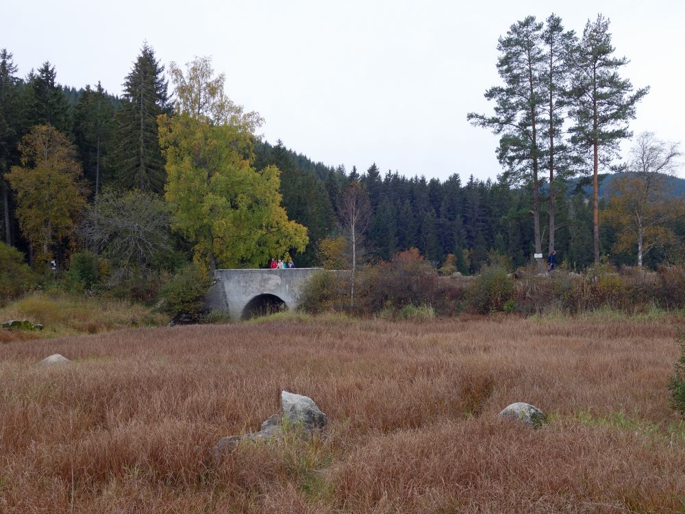 Muchenländer Brücke