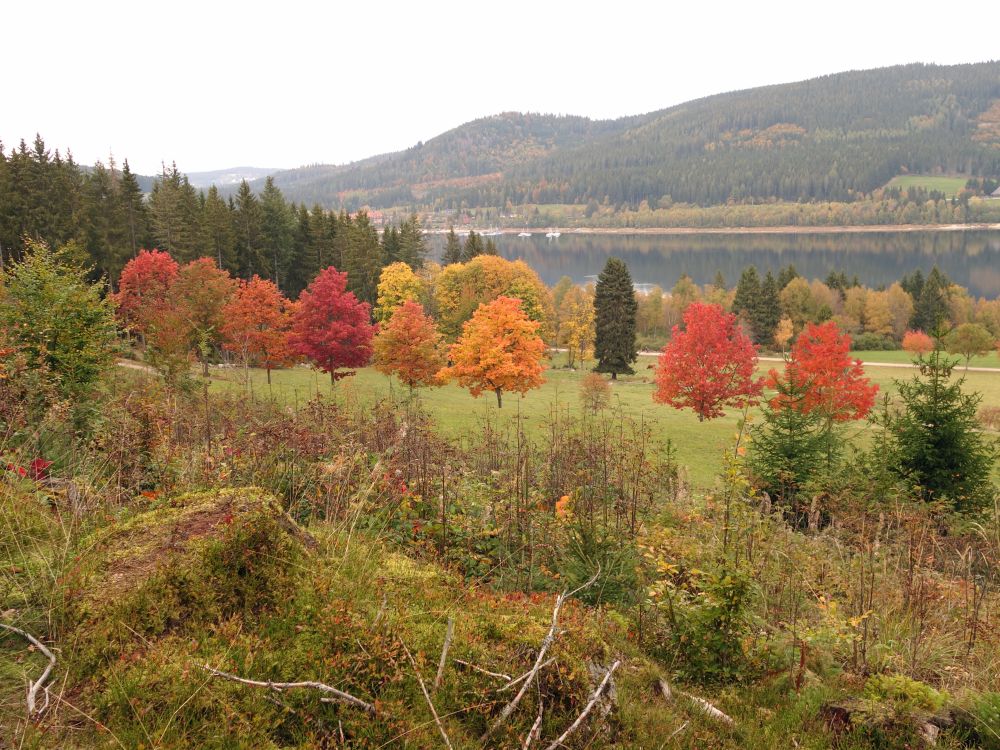 Herbststimmung