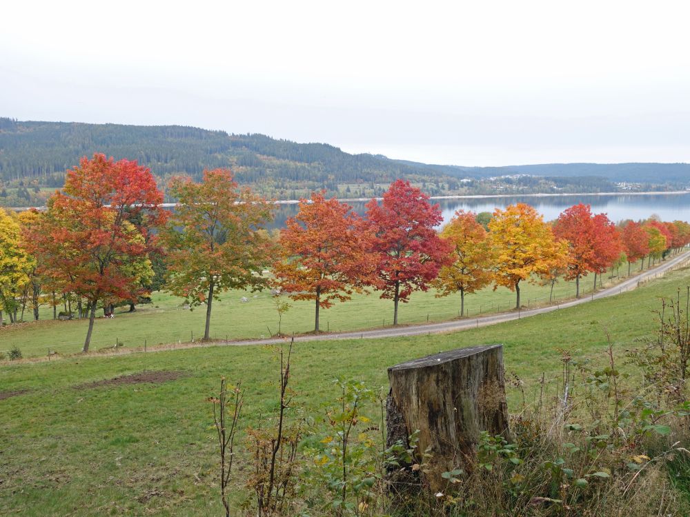 Herbststimmung