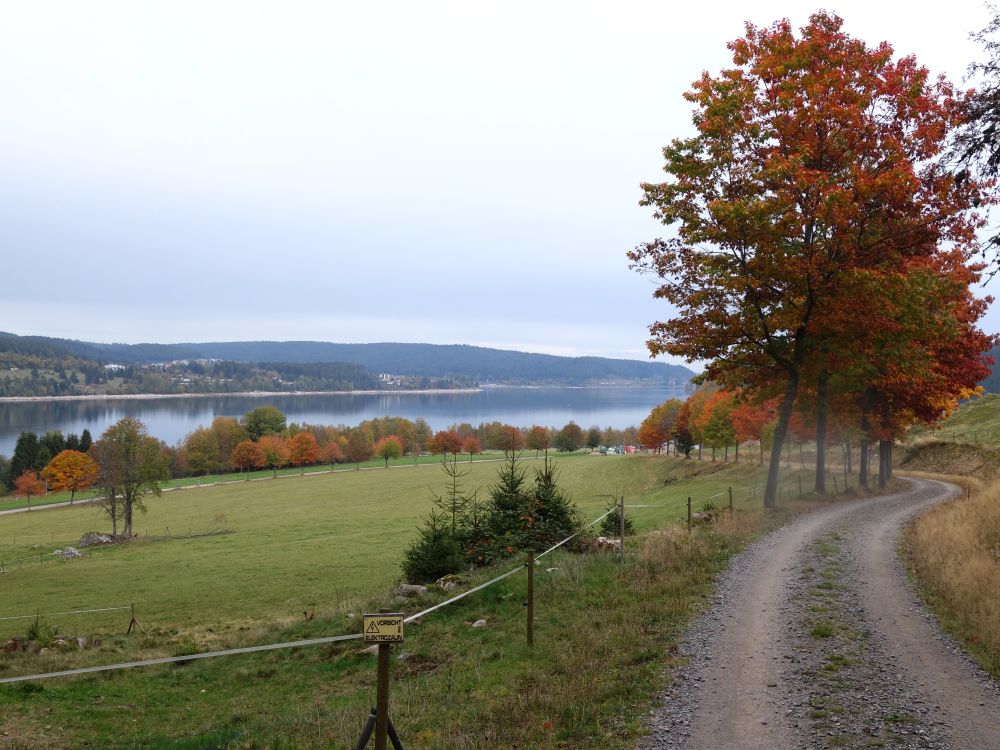 Herbststimmung