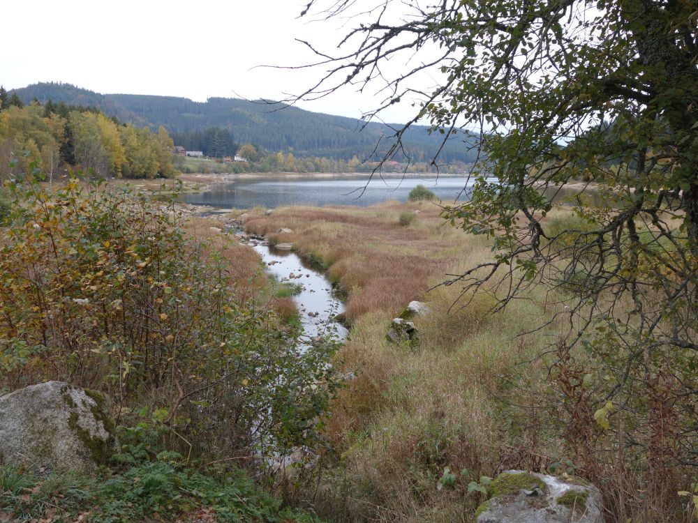 Ahabach und Schluchsee