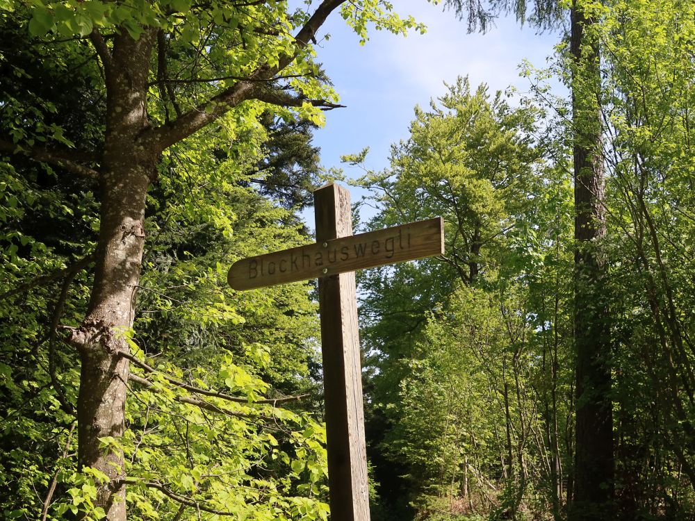 Wegweiser