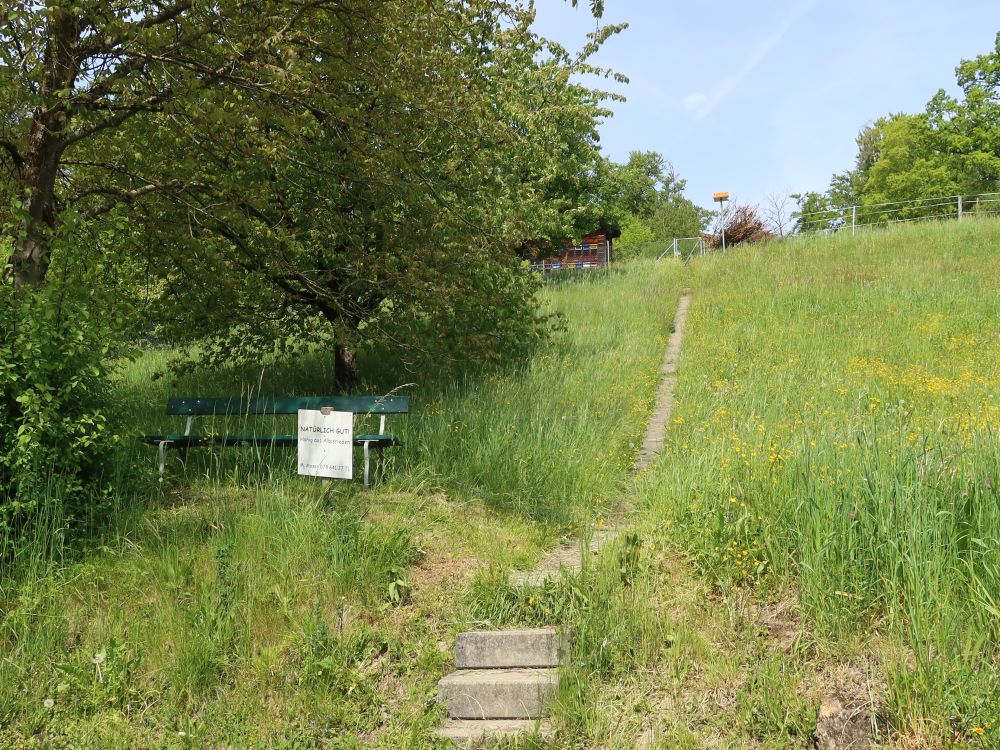 Sitzbank unterm Bienenstock