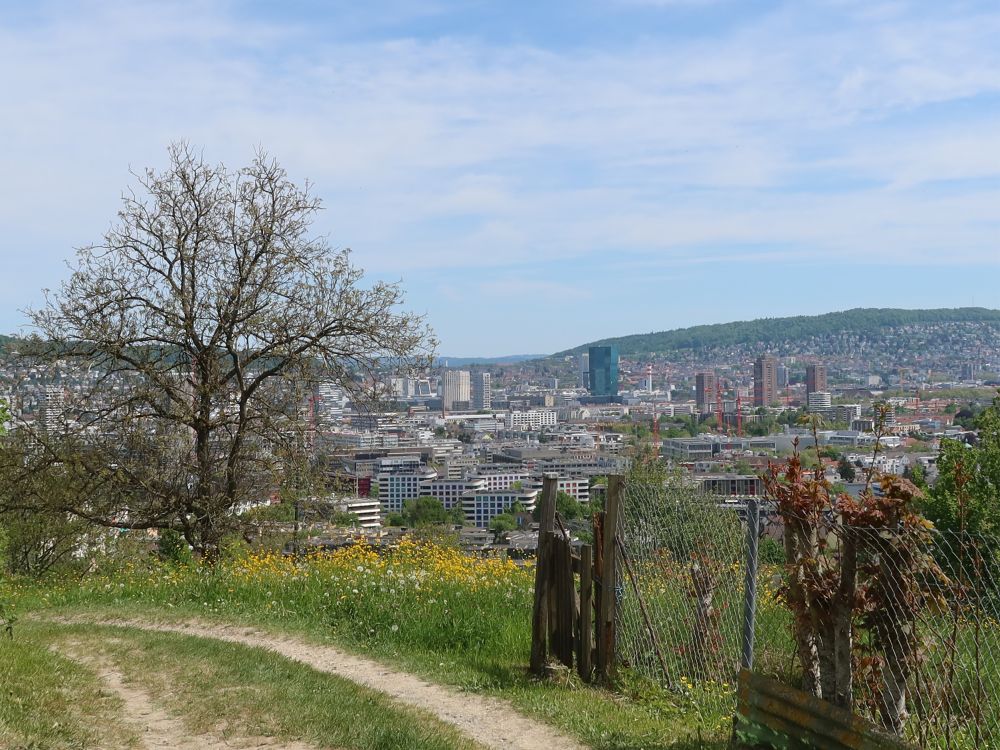 Bilck Richtung Zürich