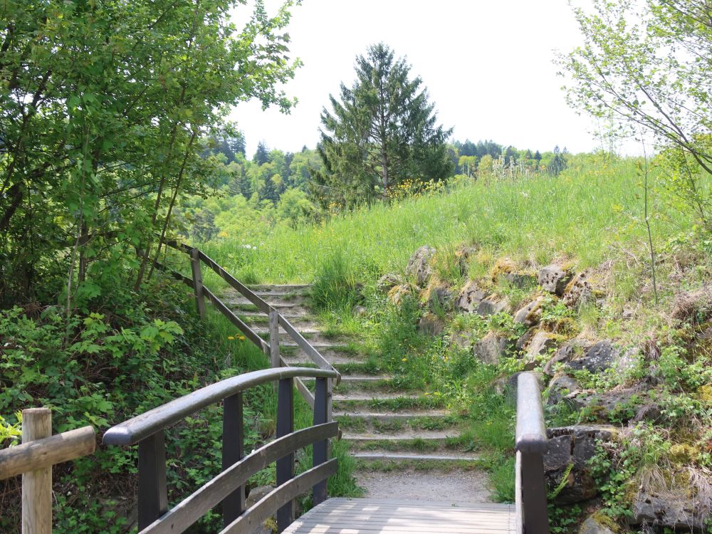 Treppe Im Schaber