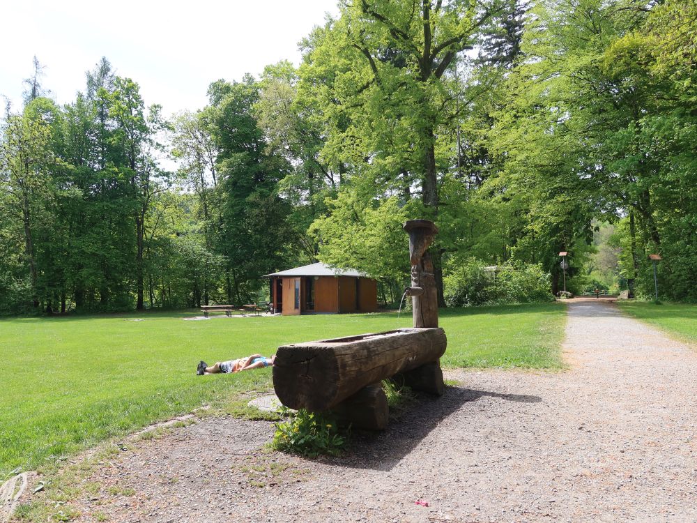 Brunnen und Waldhütte Hasenrain