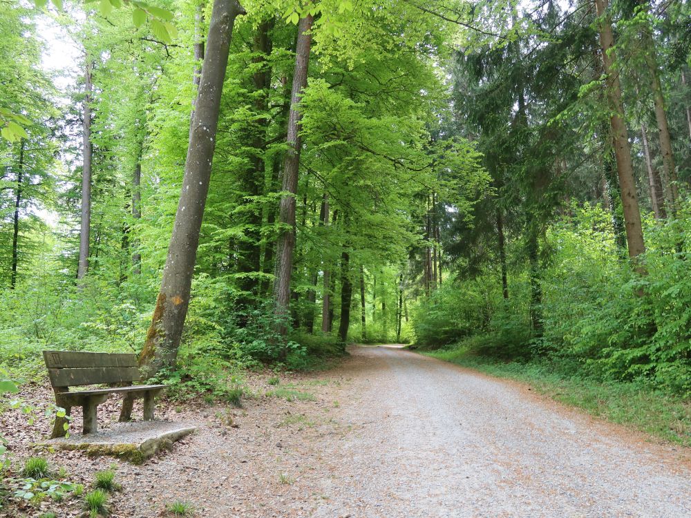 Sitzbank am Mannhauliweg