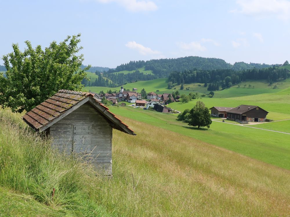 Blick Richtung Mühlrüti