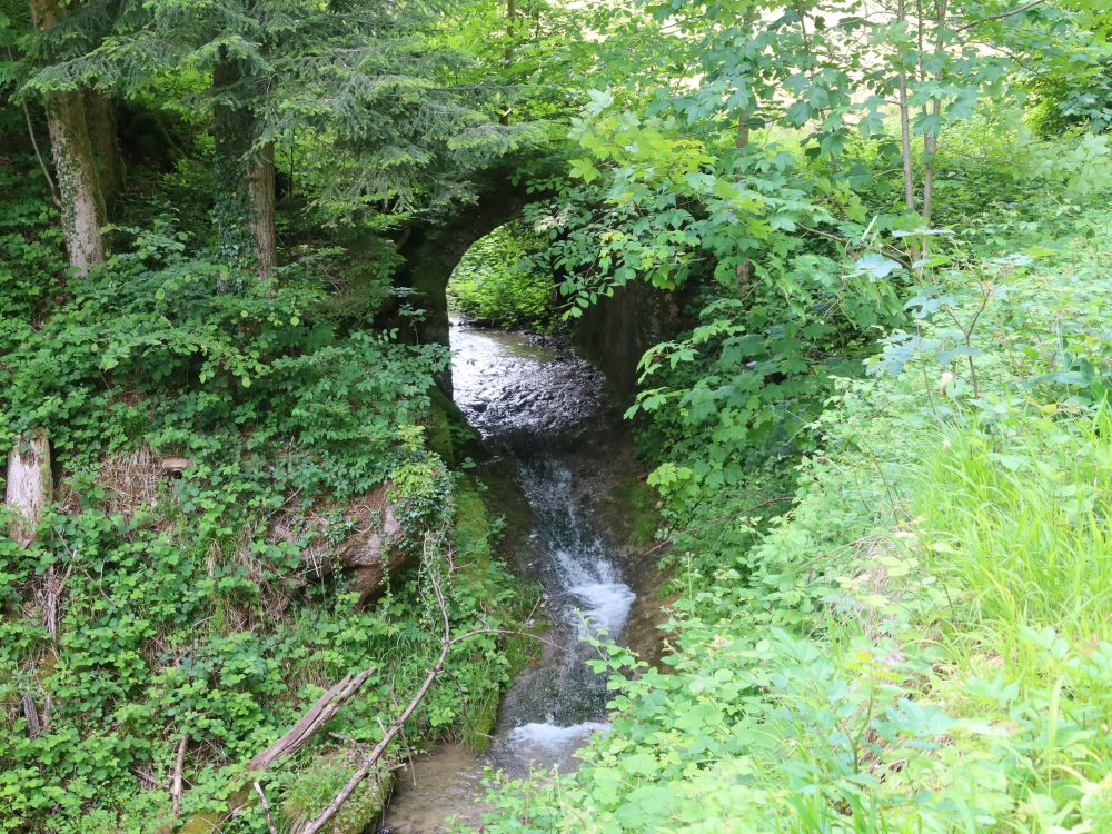 alte Steinbrücke über die Murg