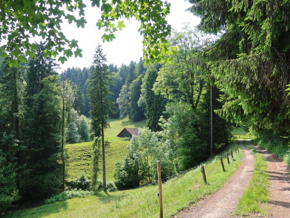 Weg am Waldrand
