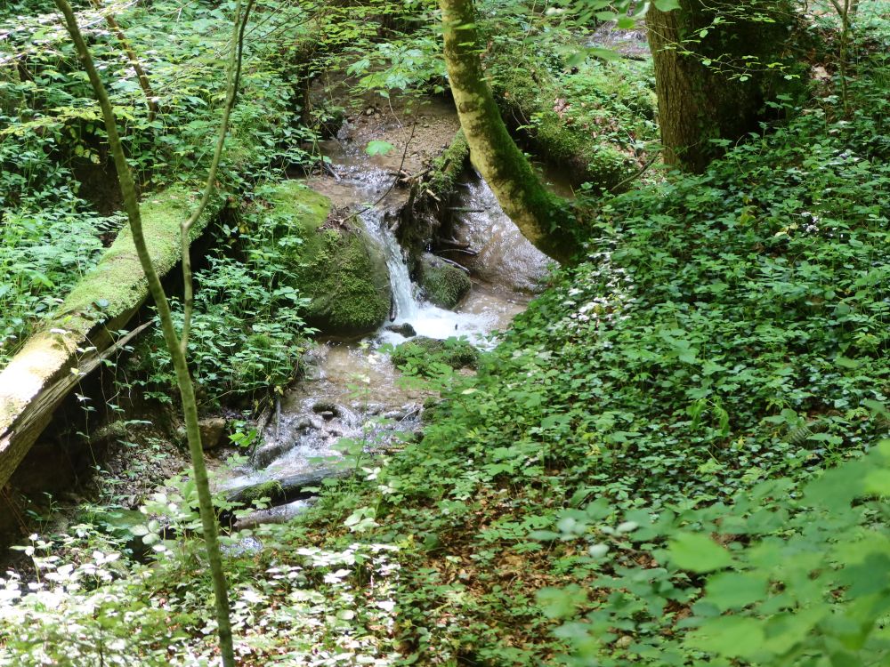 kleiner Wasserfall