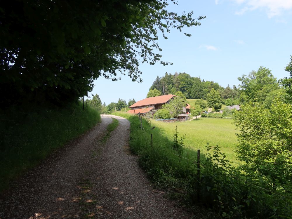 Holenstein