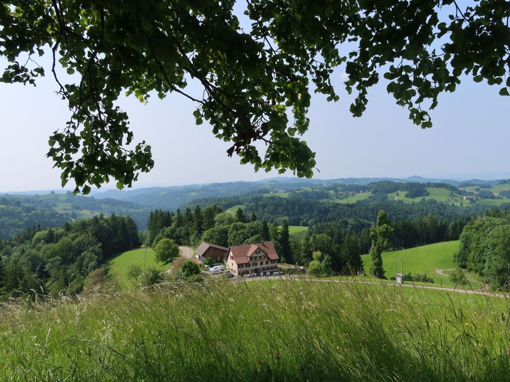 Allenwinden