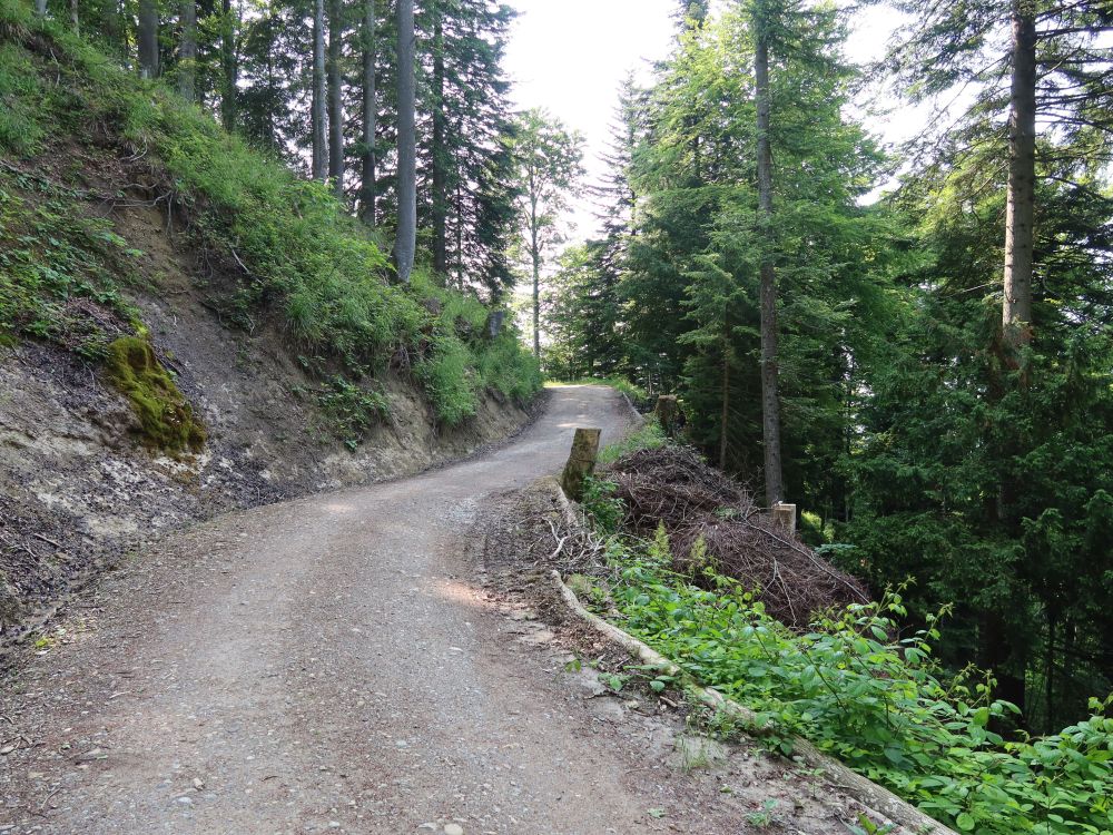 Waldweg