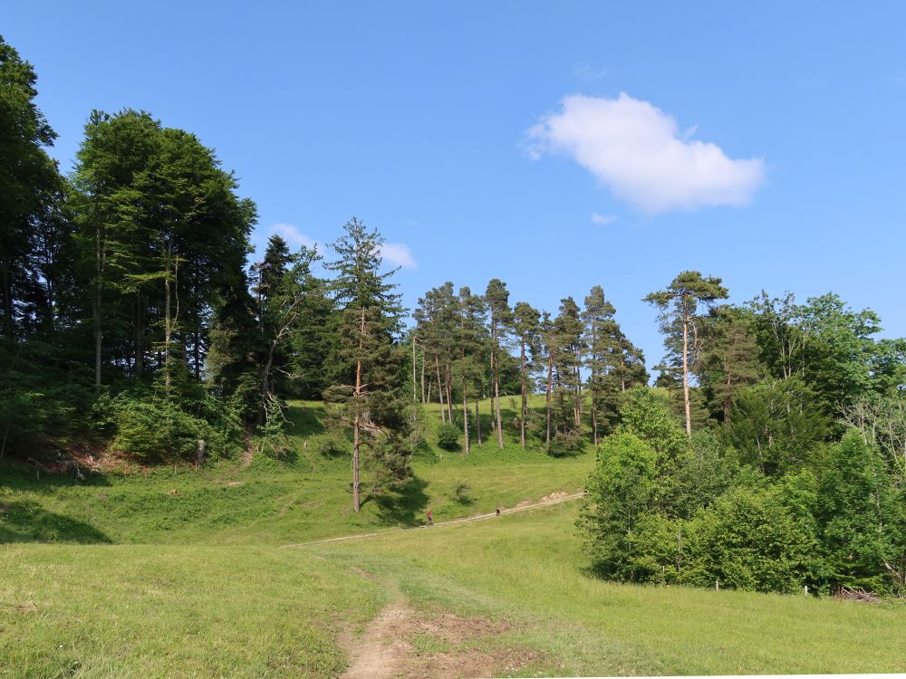 Weg am Silberbüel