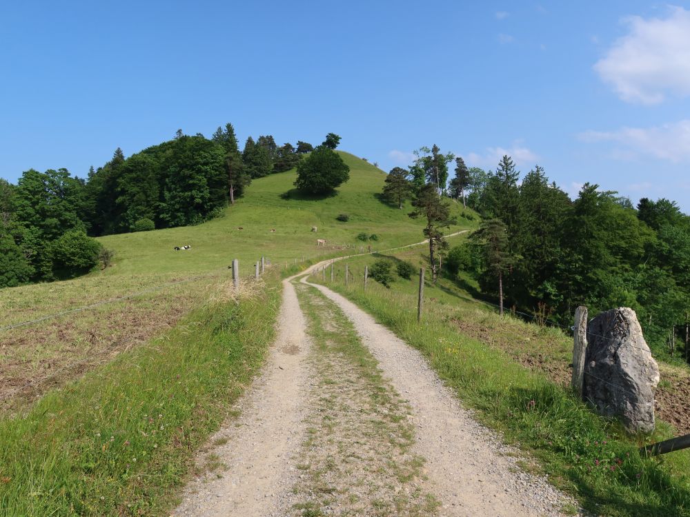 Weg Richtung Regelsberg