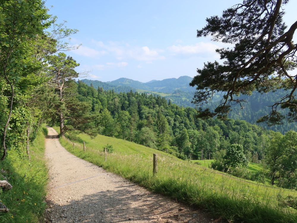 Weg unterm Regelsberg