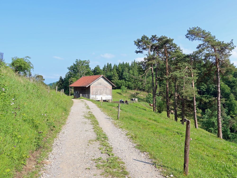 Kuhstall