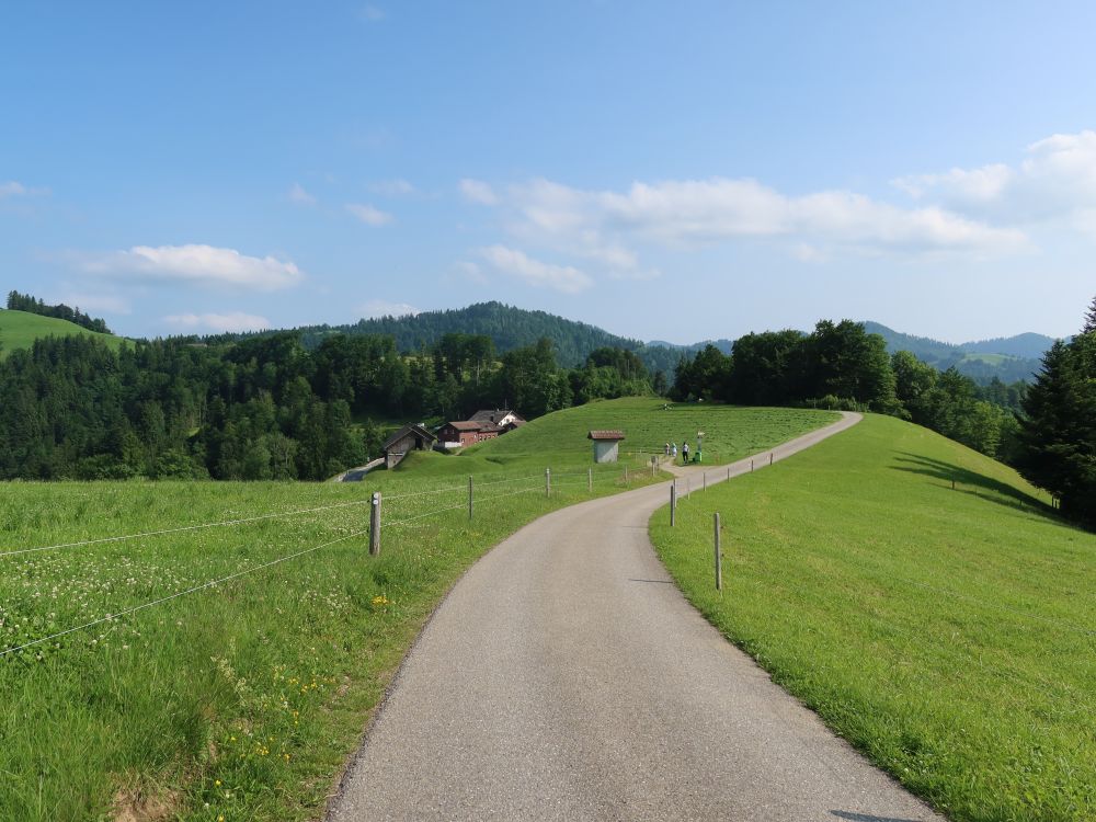 Strässchen bei Schlattberg