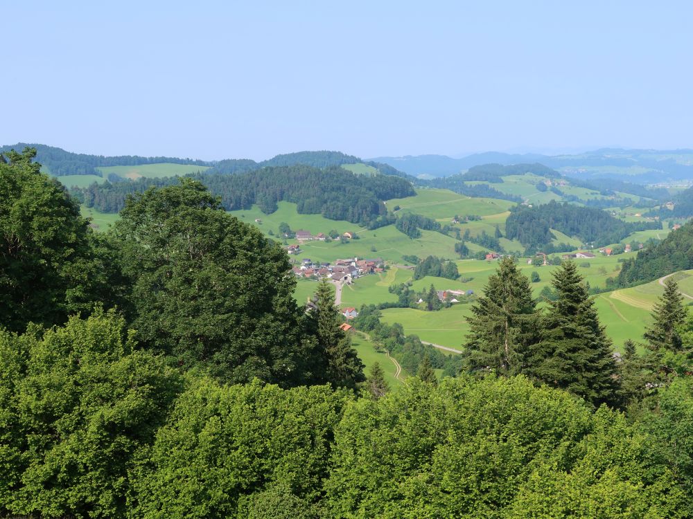 Blick Richtung Mühlrüti