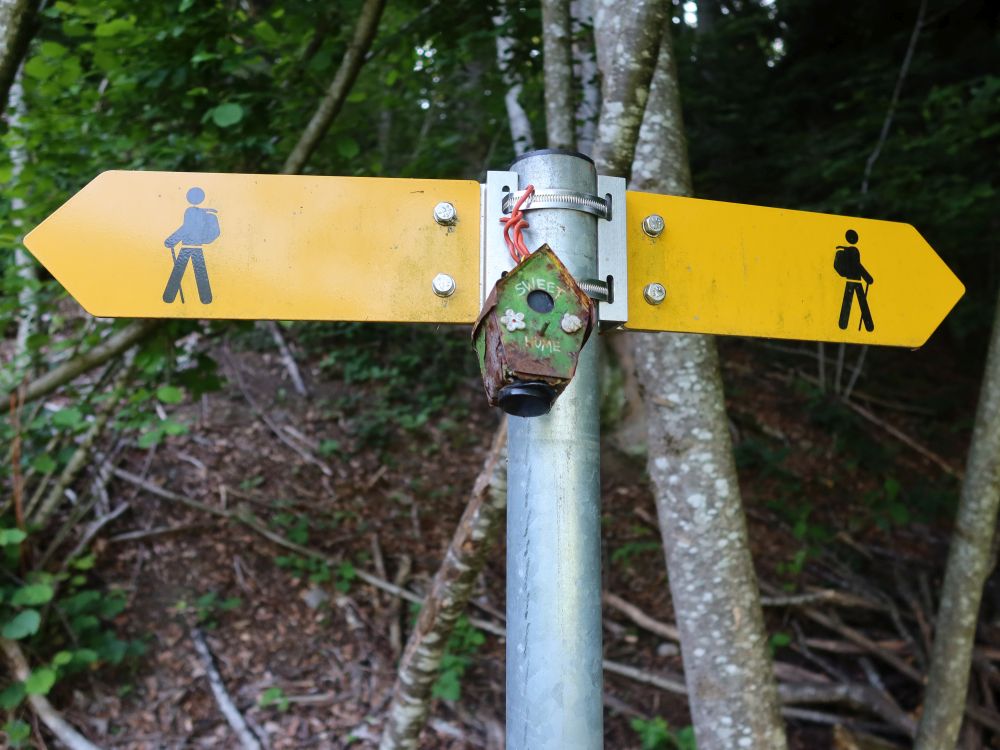Wanderwegweiser mit Sweet Home