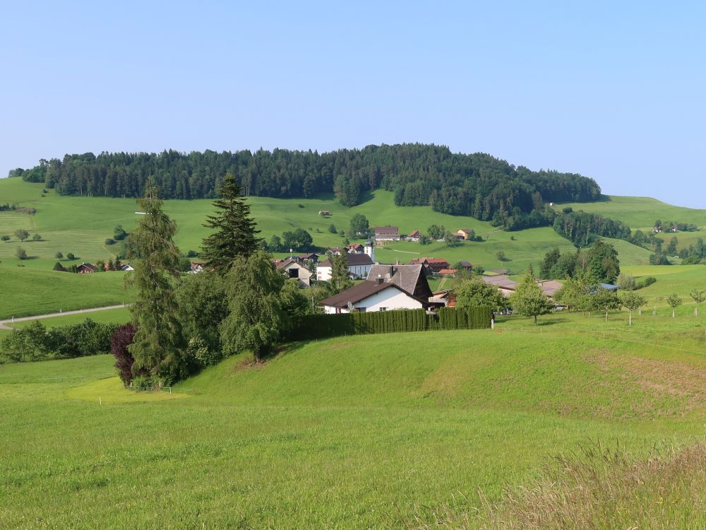 Blick Richtung Mühlrüti