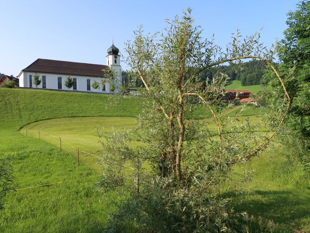Kirche Mühlrüti