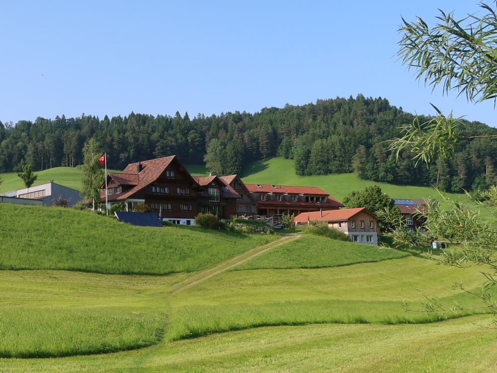 Mühlrüti