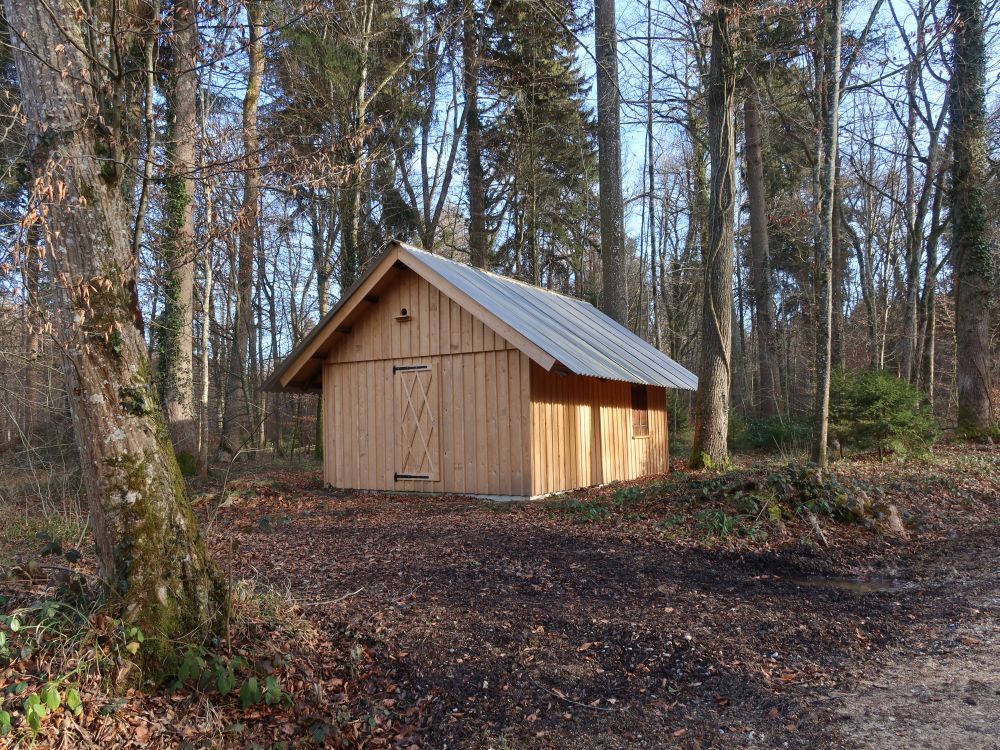 neue Waldhütte