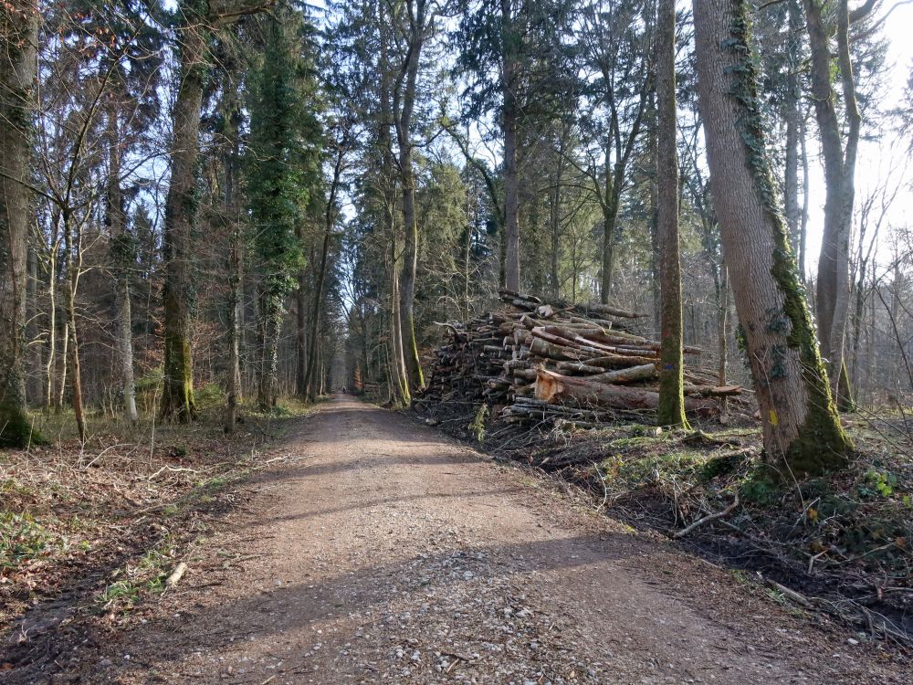 Waldweg