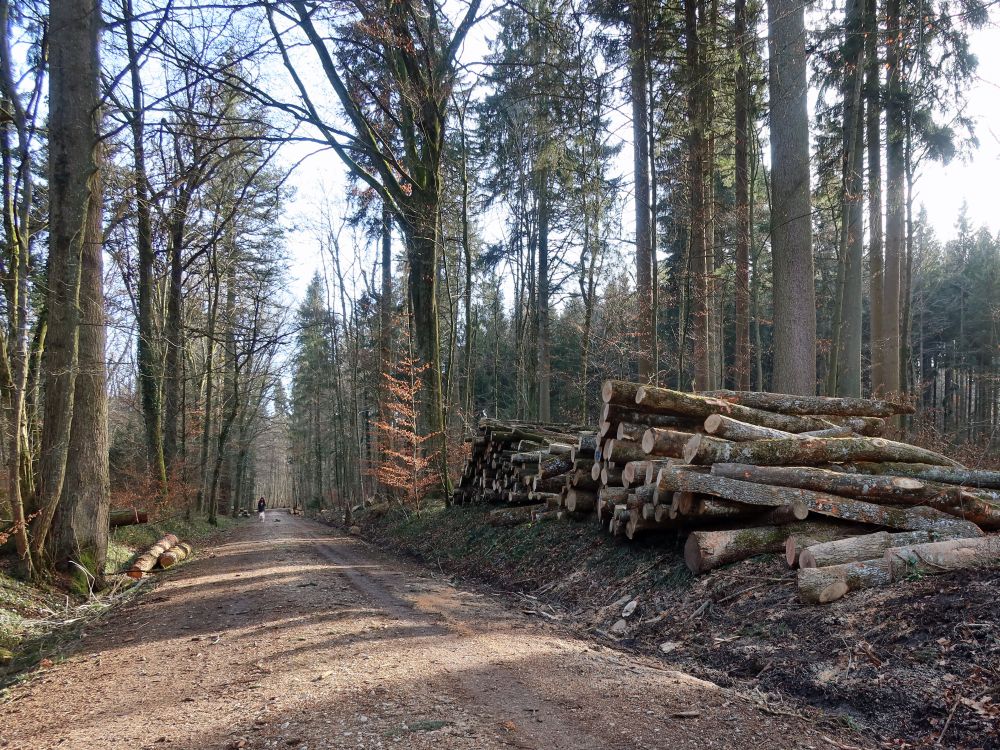 Waldweg